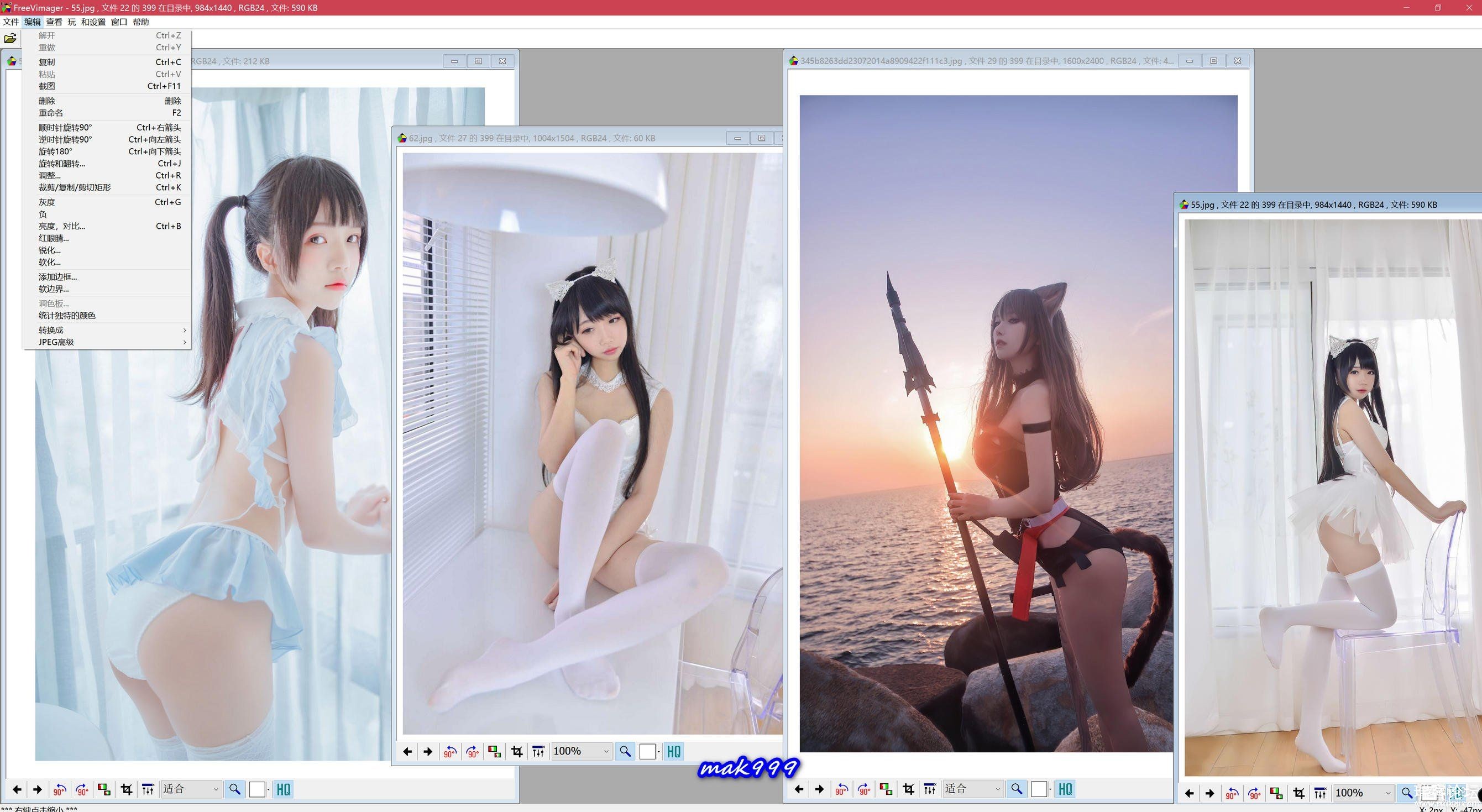 FreeVimager 9.9.3Я棨ͼͬʱȶƬ๦ܿͼ-1.jpg
